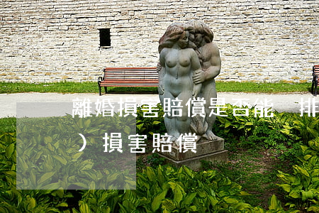 離婚損害賠償是否能夠排斥侵權(quán)損害賠償？